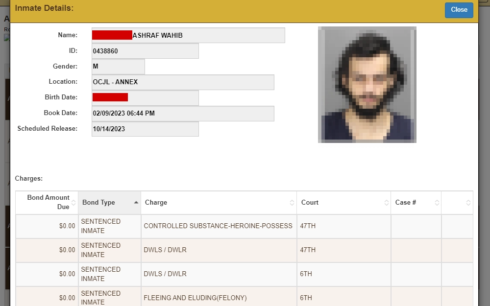 A screenshot of inmate details from the Clemis Inmate Locator, including full name, ID, gender, location, DOB, book date, scheduled release, mugshot, and charge information.